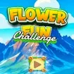 Flower Fun Challenge