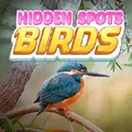 Hidden Spots - Birds