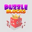 Puzzle Blocks