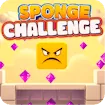 Sponge Challenge