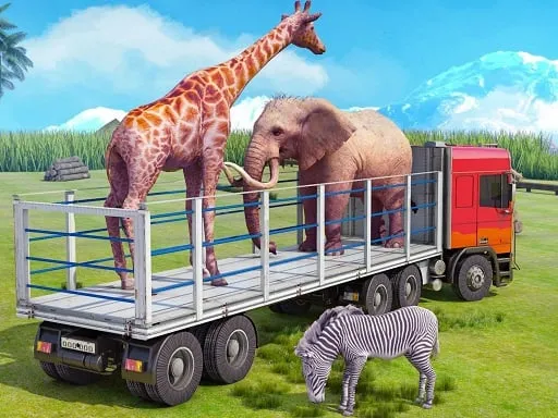 Truck Driving Animal Transport